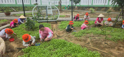 Trường mầm non Vành Khuyên triển khai mô hình " Vườn xanh của bé"