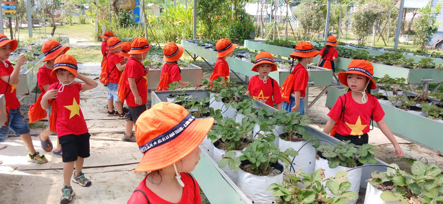 gen h z7290415345687 db2e3c031a49021f0732bc8600c8a219